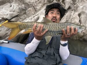 IMG-20240213-WA0008-300x225