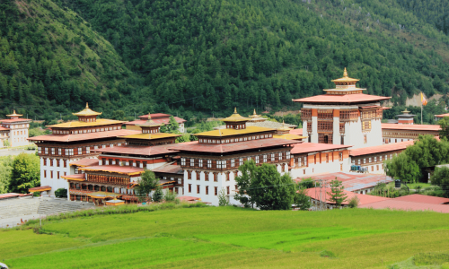 interbind project3 (6)